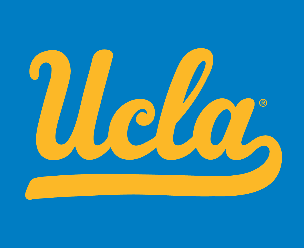 UCLA Bruins 1996-2017 Alternate Logo v3 iron on transfers for clothing